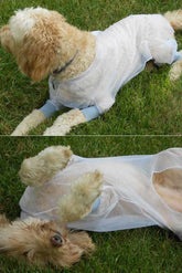 Dog Protective Jacket